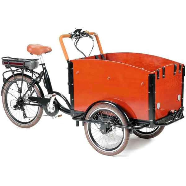 child transporter tricycle