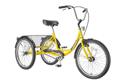 Husky tricycle online