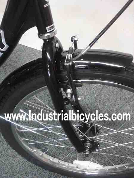 Husky 3 wheel bicycle online