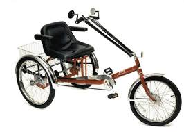 worksman adult tricycles